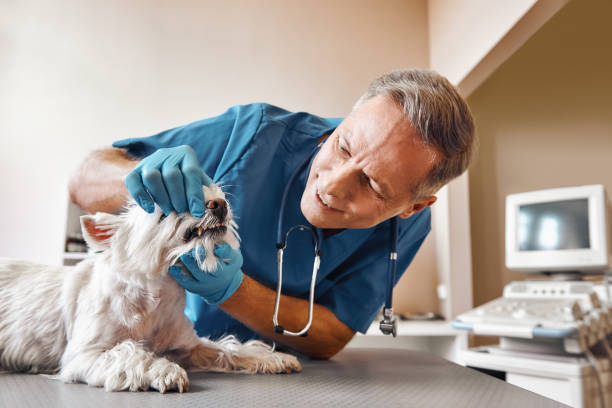 Best Emergency Dental Extractions in Sistersville, WV